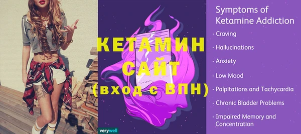 шишки Богородицк
