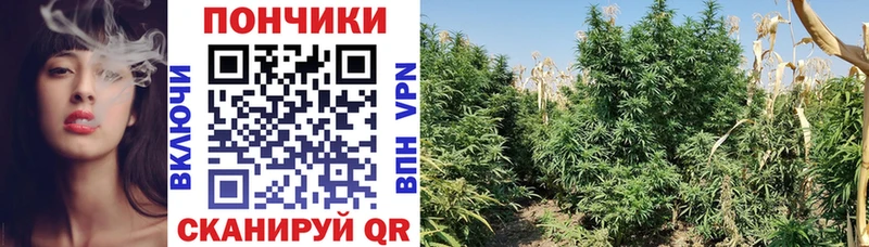 дарнет шоп Полесск Каннабис THC 21%